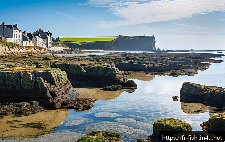 해루질 안전 팁 - A coastal scene at low tide in Brittany, France, showing a rocky shoreline with exposed tidal pools ...
